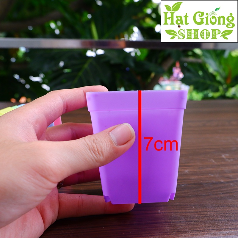 Chậu nhựa mini vuông