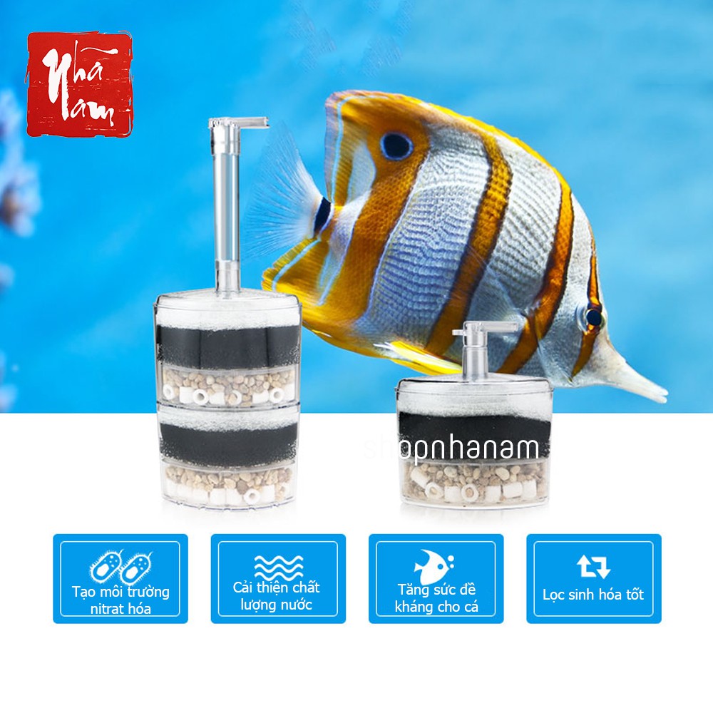 Lọc vi sinh bể cá dành cho thác nước tặng cây cảnh và cá nhiều màu