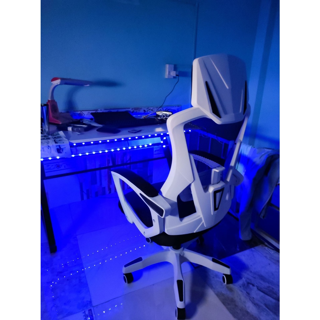 Ghế Xoay Văn Phòng Công Thái Học Ergonomic Có Ngả Lưng TANNI Premium 02 Plus, Ghế Xoay Gaming Cao Cấp Nhập Khẩu