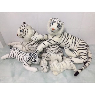 Combo 6 cọp trắng giống thật (size 20cm-1000cm).