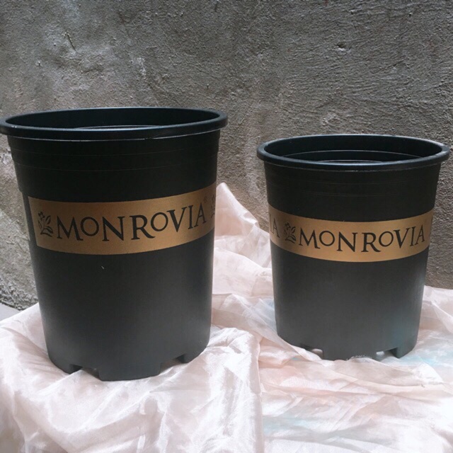 Chậu nhựa trồng cây Monrovia 1.5gal, 2gal, 3gal cực đẹp.