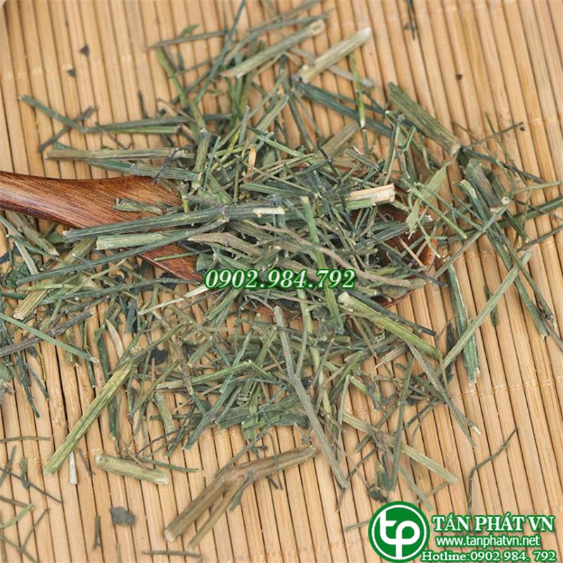 Xuyên tâm liên - Tấn Phát