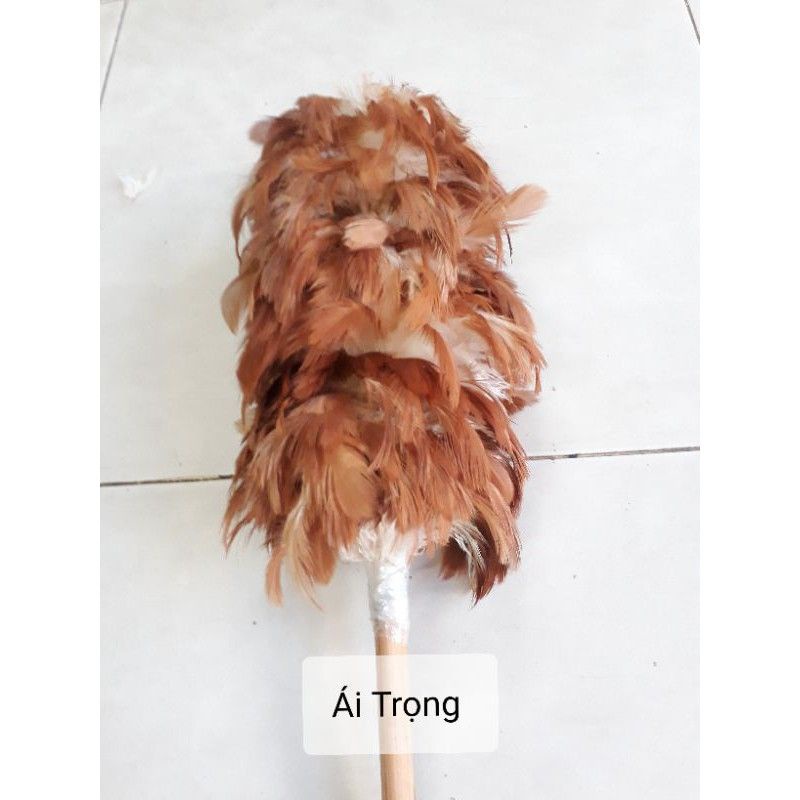 Chổi Lông Gà Mỹ