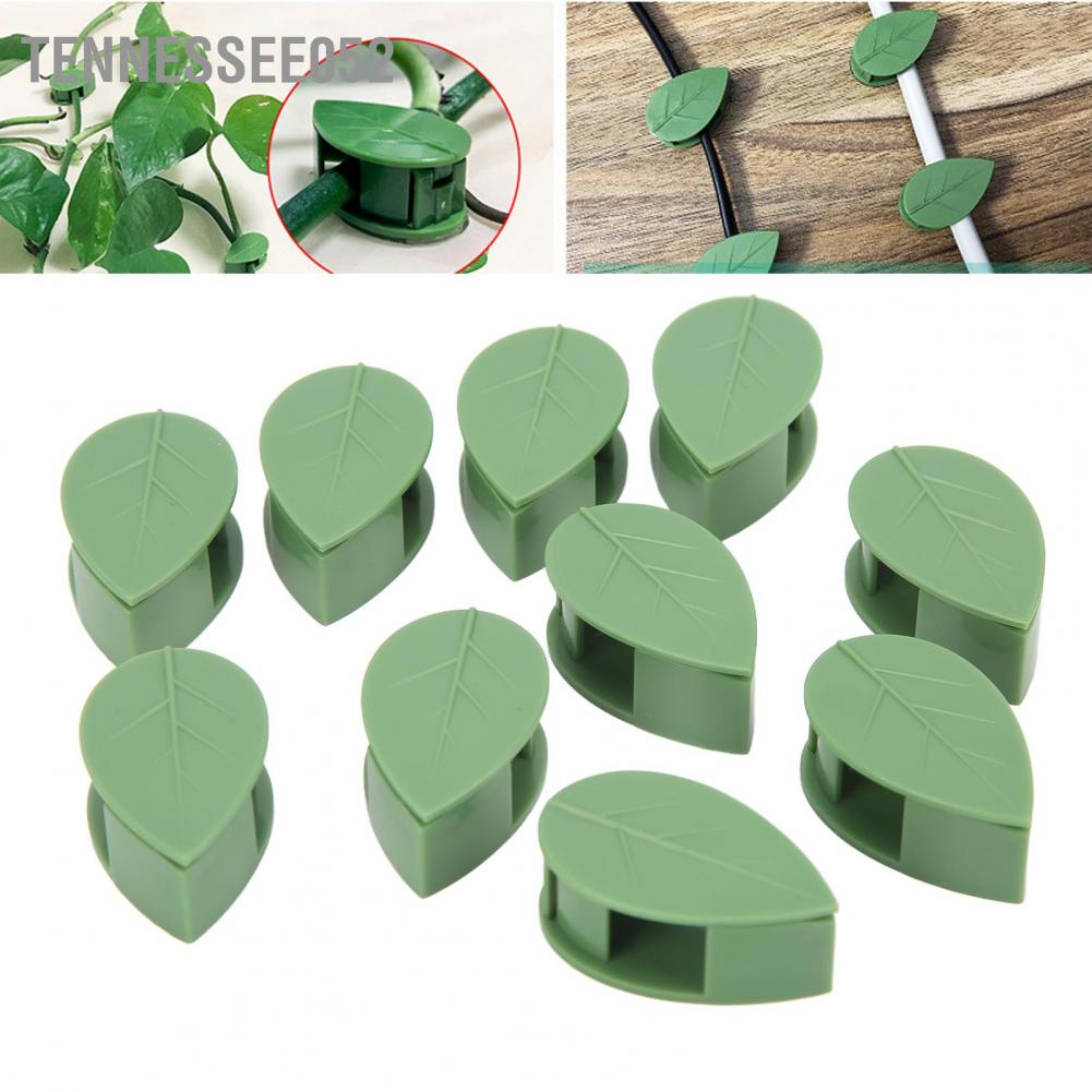 Tennessee052 100PCS Thực vật Leo tường Cố định Kẹp Tường Dây leo Clip Tự dính Móc treo Lực kéo