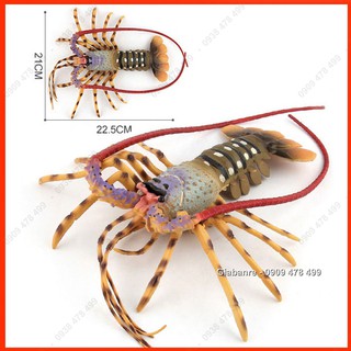 Mô Hình Tôm Hùm Tôm Càng Lobster - 7676