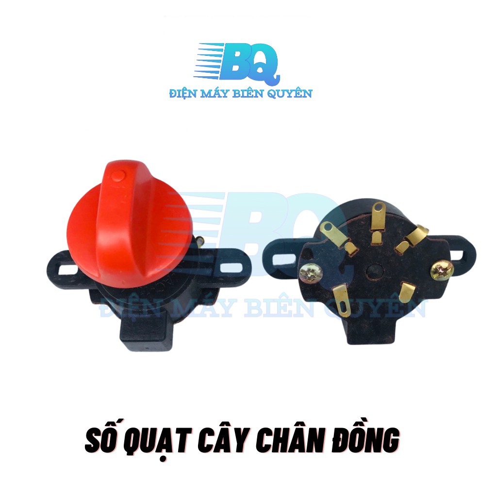 Công tắc số quạt cây quạt treo tường công tắc giật túc năng loại 1 chân đồng