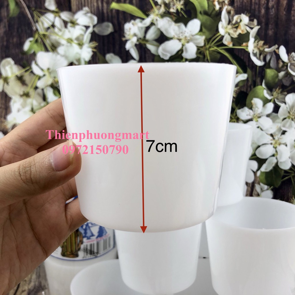 CHUNG ĐÁ ĐẠI HPL29 – Lốc 10 chung nhựa siêu lớn làm đá an toàn, tiện lợi, cao cấp.