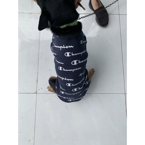 Áo nỉ Champion cho thú cưng