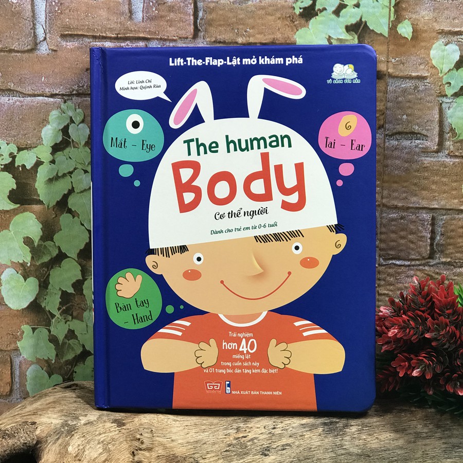 Sách - Lift The Flap - Lật Mở Khám Phá - The Human Body - Cơ thể người (0-6 tuổi)