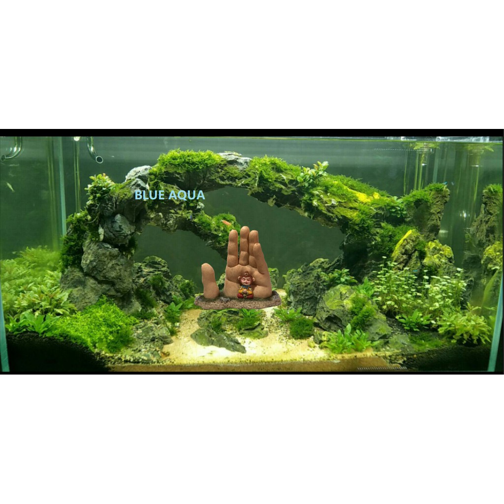 Trang Trí Hồ Cá Tôn Ngộ Không Sủi Oxi