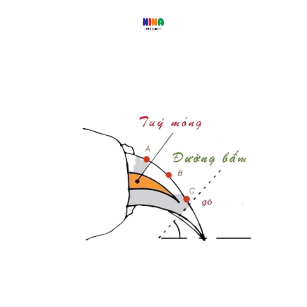 Kéo  kìm bấm cắt móng cho chó mèo thú cưng cún kèm dũa móng chân Nina pet shop