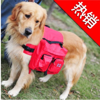 Ba Lô Dã Ngoại Thời Trang Cho Cún Yêu