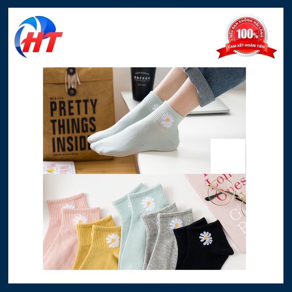 TẤT CỔ NGẮN HOA CÚC - tất cotton