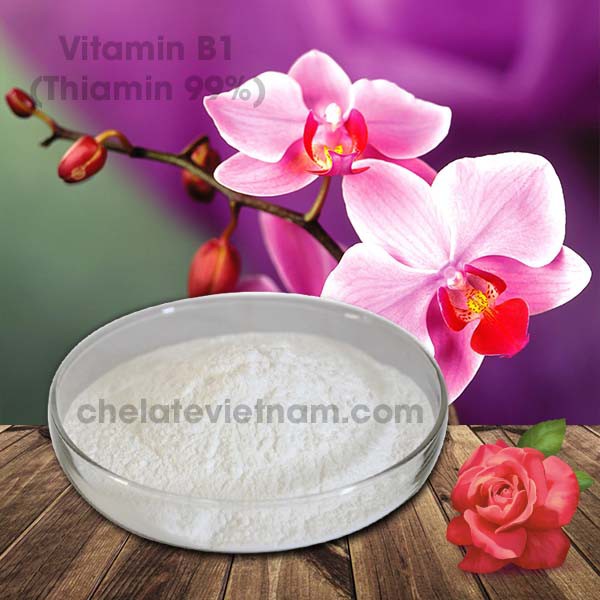 Vitamin B1  nguyên chất  gói 50gram