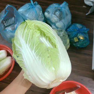 Kim chi cải thảo Hàn Quốc (ăn chay )