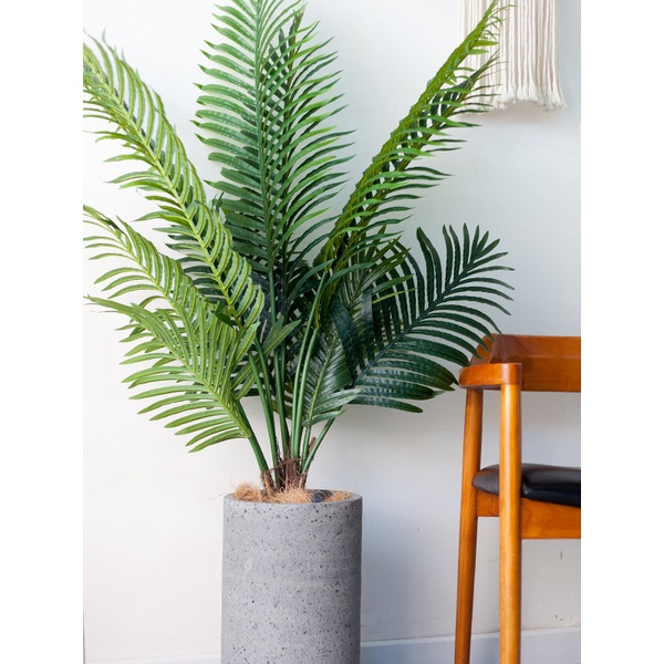 Cây dừa giả trang trí nội thất - 120cm - Jassi decor