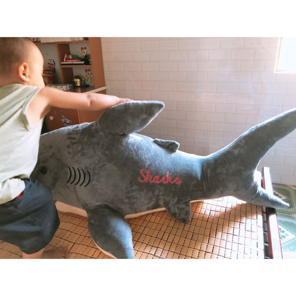 GẤU BÔNG CÁ MẬP SHARKS (50CM ---&gt; 110CM) GB104