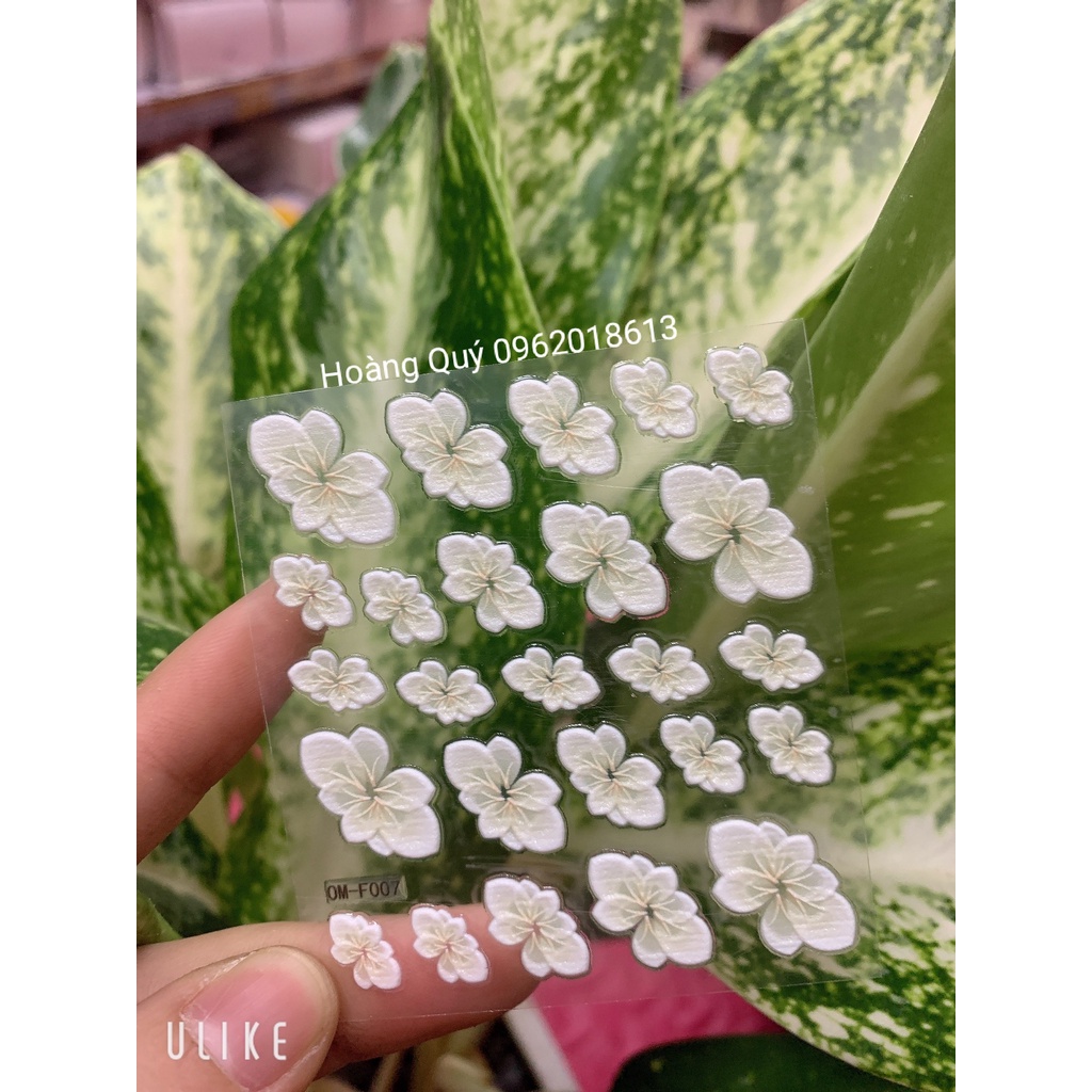 Miếng dán hoa nổi 5D - Ann933233