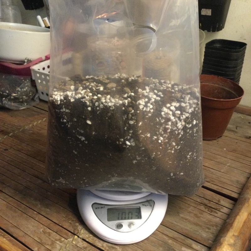 Đất trồng sen đá, xương rồng 1kg 🔥FREE SHIP🔥 siêu phẩm trồng sen đá, xương rồng