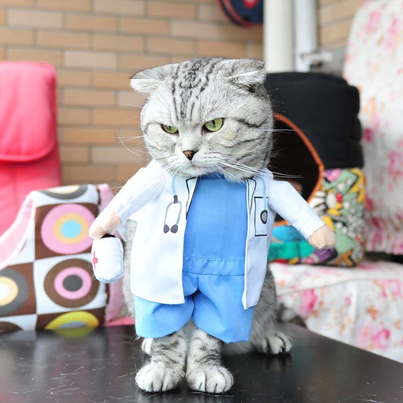 Bộ Áo Liền Quần Hóa Trang Cướp Biển Hoạt Hình Dễ Thương Cho Chó Mèo