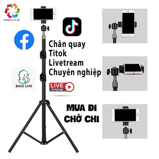 Chân giá đỡ 3 chân livestream tik tok, chụp ảnh, quay phim, đầu bi Q29 + đầu kẹp điện thoại chữ U