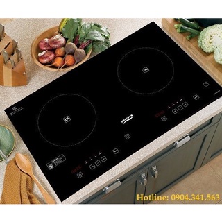 Bếp từ chefs eh dih2000a
