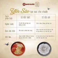 Yến Sào Nam Dược - Yến Chưng đường phèn - Yến Chưng Đông Trùng hồng sâm