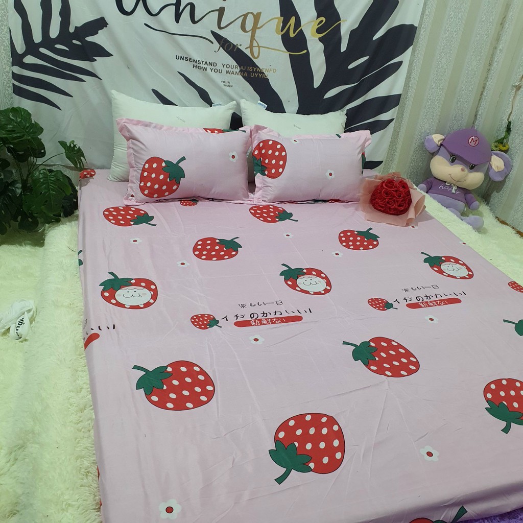 TRỌN BỘ 4 MÓN CHĂN/MỀN KÈM GA GỐI COTTON POLY THOÁNG MÁT MẪU DÂU TÂY