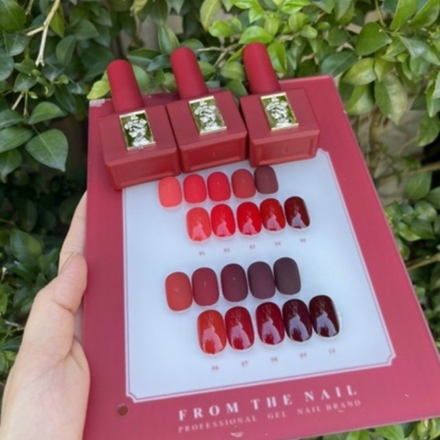 SET JIKAI 10 MÀU TÔNG ĐỎ KÈM BẢNG MÀU