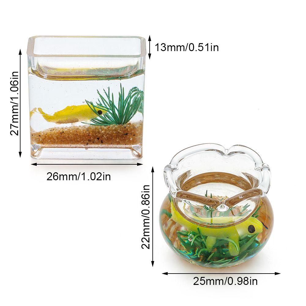 Bể Cá Mini Bằng Kính Màu Cầu Vồng