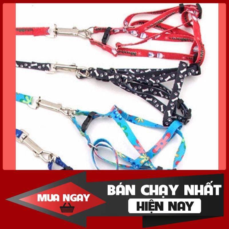 [FREESHIP] Dây dắt chó mèo ( phát màu ngẫu nhiên)