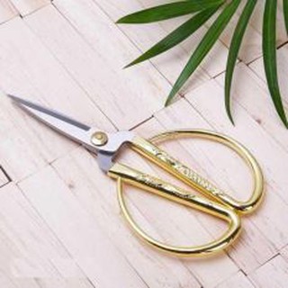 kéo rồng phụng kéo Nox cắt thức ăn
