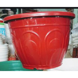 CHẬU TRÒN CAO đường kính  50CM