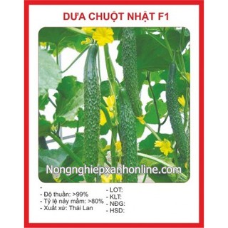 Hạt giống DƯA LEO NHẬT  (dưa chuột nhật) 10H