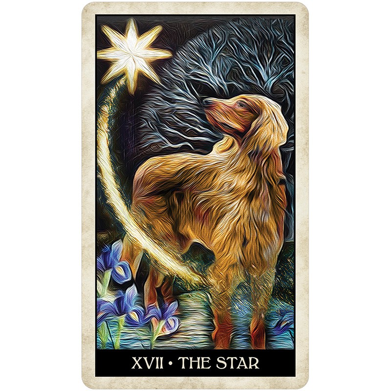 Bộ Bài Wise Dog Tarot (Mystic House Tarot) - Bài Gốc Authentic Chính Hãng 100%