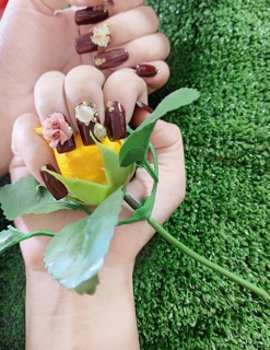 Hoa bột hồng đôi ôm móng