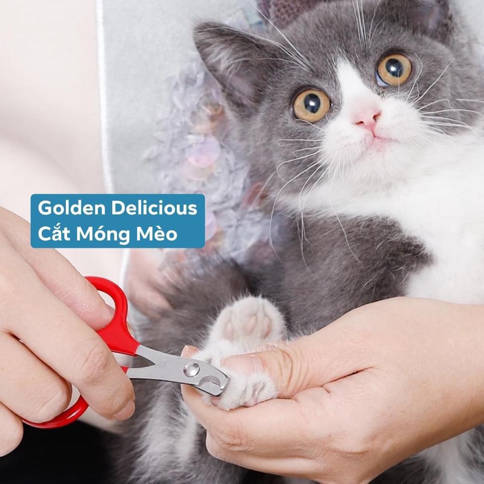 Kìm Cắt Móng Cho Mèo Nhỏ Gọn An Toàn Dễ Sử Dụng