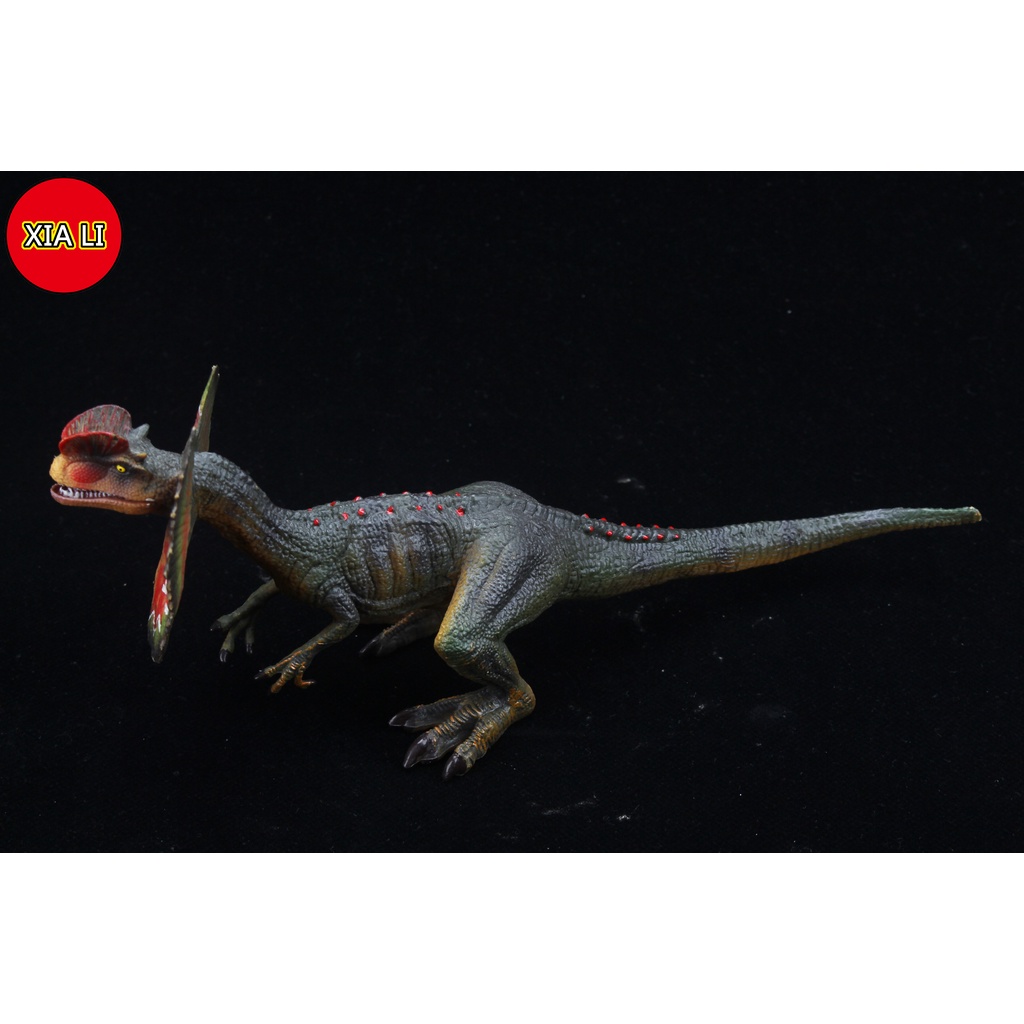 Đồ Chơi Mô Hình Khủng Long Dilophosaurus Cỡ Lớn Mới Dành Cho Trẻ Em