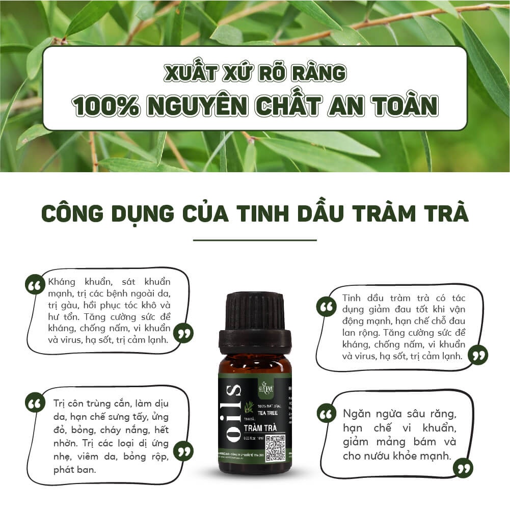 Tinh dầu Tràm Trà Haeva Cao Cấp, 100% Thiên Nhiên, kháng khuẩn, Tốt cho hô hấp, giải cảm.Chai 10ml,30ml,100ml