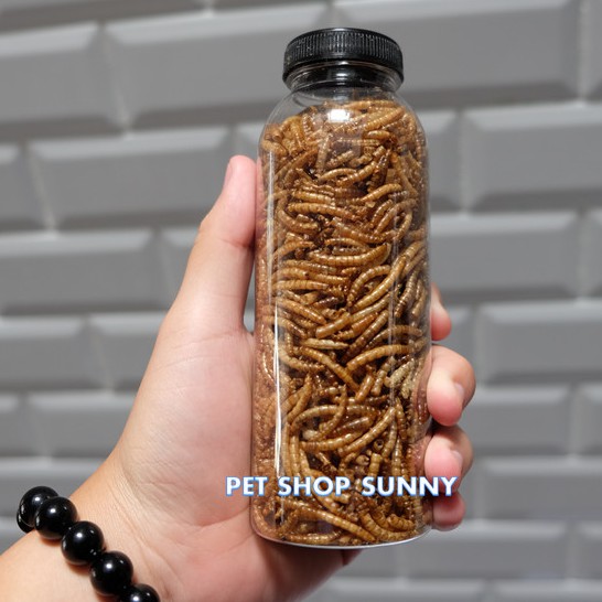 Sâu trung rang cho hamster,sóc,nhím 100g