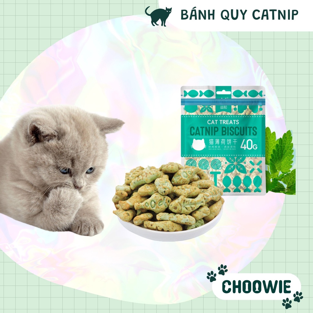 Bánh quy Catnip Biscuits hình con cá 40 gr | Bánh thưởng cho mèo