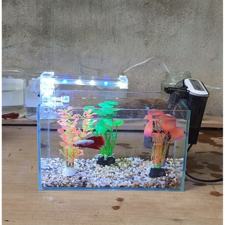 Bể cá mini 24 cm với 4 món (bể 24, sỏi nền, máy lọc, 3 cây nhựa mini)
