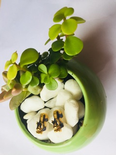 Tỳ hưu tài lộc đổi màu (L=1.8cm)