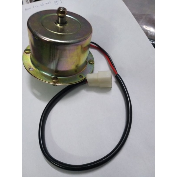 Muato vàng quạt dầy