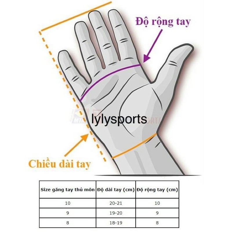 Găng Tay Thủ Môn Có Xương Bảo Vệ -loại 1 - LYLYSPORTS