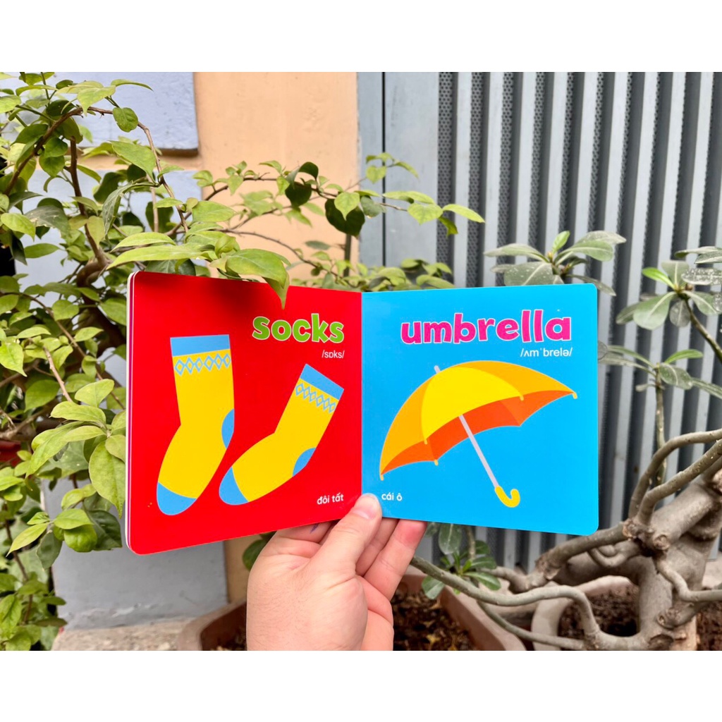 Sách - Thư viện hình ảnh đầu tiên Baby's First Picture Book