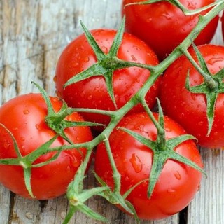0.1gr hạt giống cà chua bi usa