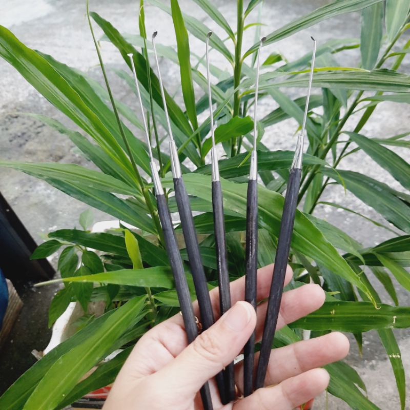 Bộ 2 cây móc tai cán đen