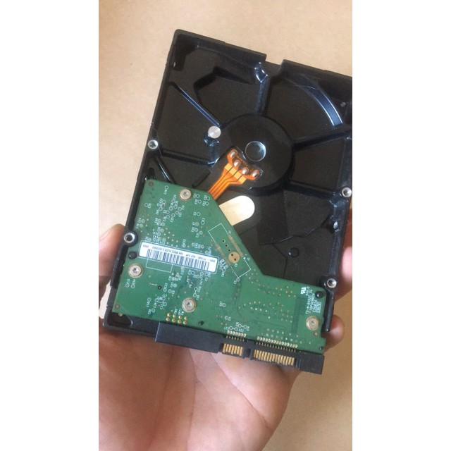 Ổ cứng 320g sata đã cài sẵn | BigBuy360 - bigbuy360.vn