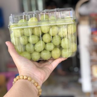 10 hộp nhựa to đựng rau củ, hoa quả sạch